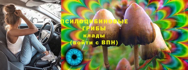 твердый Белокуриха