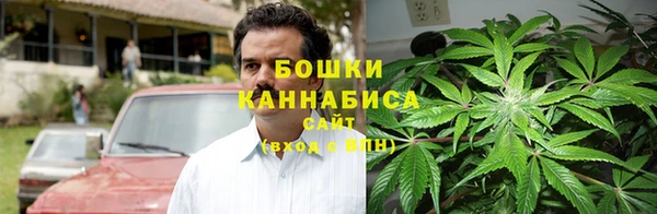 твердый Белокуриха