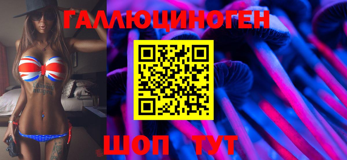 Псилоцибиновые грибы прущие грибы Гусев