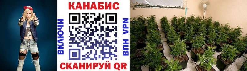 Бошки Шишки планчик  купить закладку  Гусев 