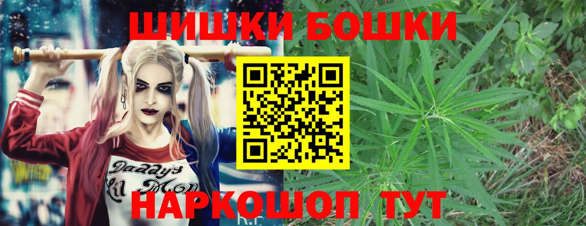 Марихуана сатива  Каннабис марихуана  Гусев  Вход с VPN 